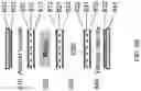 Fig. 33 - Multicompartment layered and stackable microfluidic bioreactors and applications of same