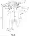 Fig. 02 - OSCILLATING TOOL DRYWALL BLADE