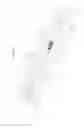Fig. 02 - HANDLE