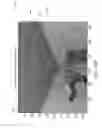 Fig. 17 - Systems and methods for performing occlusion detection