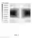Fig. 06 - Polymer matrix composite repair