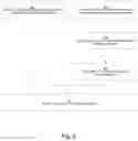 Fig. 09 - Method and apparatus for dual tire buffing and handling
