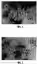 Fig. 02 - Light weight gypsum board