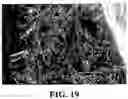 Fig. 11 - Light weight gypsum board