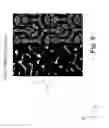 Fig. 10 - Measuring and correcting print-to-print register of a multicolour print formed on printed material