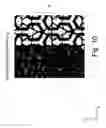 Fig. 11 - Measuring and correcting print-to-print register of a multicolour print formed on printed material