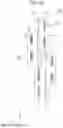 Fig. 13 - Liquid ejecting head unhand liquid ejecting apparatus