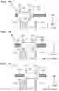 Fig. 06 - Ink-jet printer