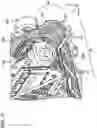 Fig. 12 - Intermediate unit, post processing device, and printing apparatus