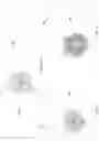 Fig. 02 - Self-authenticating articles incorporating precious metals