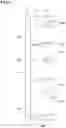 Fig. 05 - Tyre