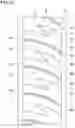 Fig. 18 - Tyre