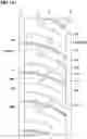 Fig. 19 - Tyre