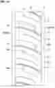 Fig. 20 - Tyre