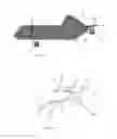 Fig. 10 - Boat with retractable wheels