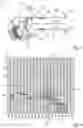Fig. 03 - Ventilation device for an interior of a motor vehicle and method for operating a ventilation device of this kind