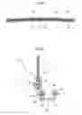 Fig. 05 - Protective windscreen arrangement