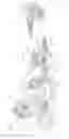 Fig. 06 - Vehicle