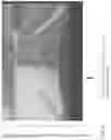 Fig. 10 - Vehicular vision system with rear backup video display