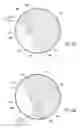 Fig. 09 - Vehicle airbag