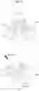 Fig. 11 - DRONE USING COAXIAL INVERTED ROTOR