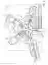 Fig. 04 - A FORMING DEVICE AND METHOD FOR FORMING A PACK INTO A FINISHED PACKAGE, A FOLDING UNIT FOR FORMING SEALED PACKAGES OF POURABLE FOOD PRODUCTS, AND A PACKAGE