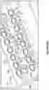 Fig. 44 - Liquid storage and delivery mechanisms and methods