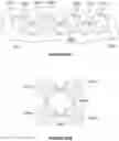 Fig. 48 - Liquid storage and delivery mechanisms and methods