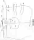 Fig. 06 - CARTON, BLANK THEREFOR AND PACKAGE