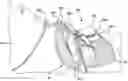Fig. 01 - SADDLE PAD