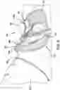 Fig. 09 - SADDLE PAD