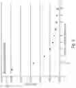 Fig. 07 - Micromechanical devices with mechanical actuators