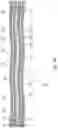 Fig. 09 - Micromechanical devices with mechanical actuators