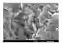 Fig. 01 - Hexagonal boron nitride powder, method for producing same, resin composition and resin sheet