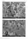 Fig. 03 - Hexagonal boron nitride powder, method for producing same, resin composition and resin sheet