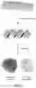 Fig. 10 - Compositions comprising a plurality of discrete nanostructures and related articles and methods