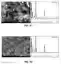 Fig. 03 - Graphite-titanium-nanocomposite complex and method of preparation thereof