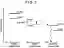 Fig. 06 - Compound, composition, organic electroluminescent element, and electronic appliance