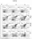Fig. 22 - Perillyl alcohol-3-bromopyruvate conjugate and methods of treating cancer