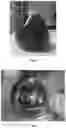 Fig. 03 - Organic materials with special optical effects