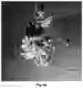 Fig. 04 - Organic materials with special optical effects