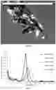 Fig. 06 - Organic materials with special optical effects