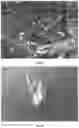 Fig. 08 - Organic materials with special optical effects