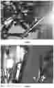 Fig. 09 - Organic materials with special optical effects