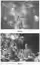 Fig. 13 - Organic materials with special optical effects
