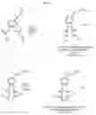 Fig. 07 - Pharmaceutical formulation for sublingual or buccal delivery of epinephrine or a pro-drug thereof
