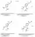 Fig. 08 - Pharmaceutical formulation for sublingual or buccal delivery of epinephrine or a pro-drug thereof