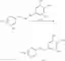 Fig. 146 - Urea compound and preparation method and application thereof