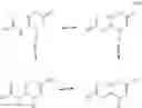 Fig. 12 - Creatine prodrugs, compositions and methods of use thereof