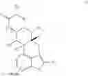 Fig. 02 - Ergoline compounds and uses thereof